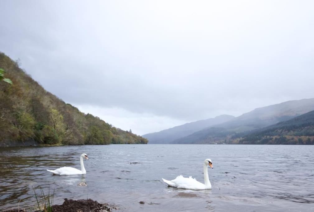 Rossmay House - 4 Bedroom Scottish Villa With Waterfront / Mountain Views Arrochar Eksteriør bilde